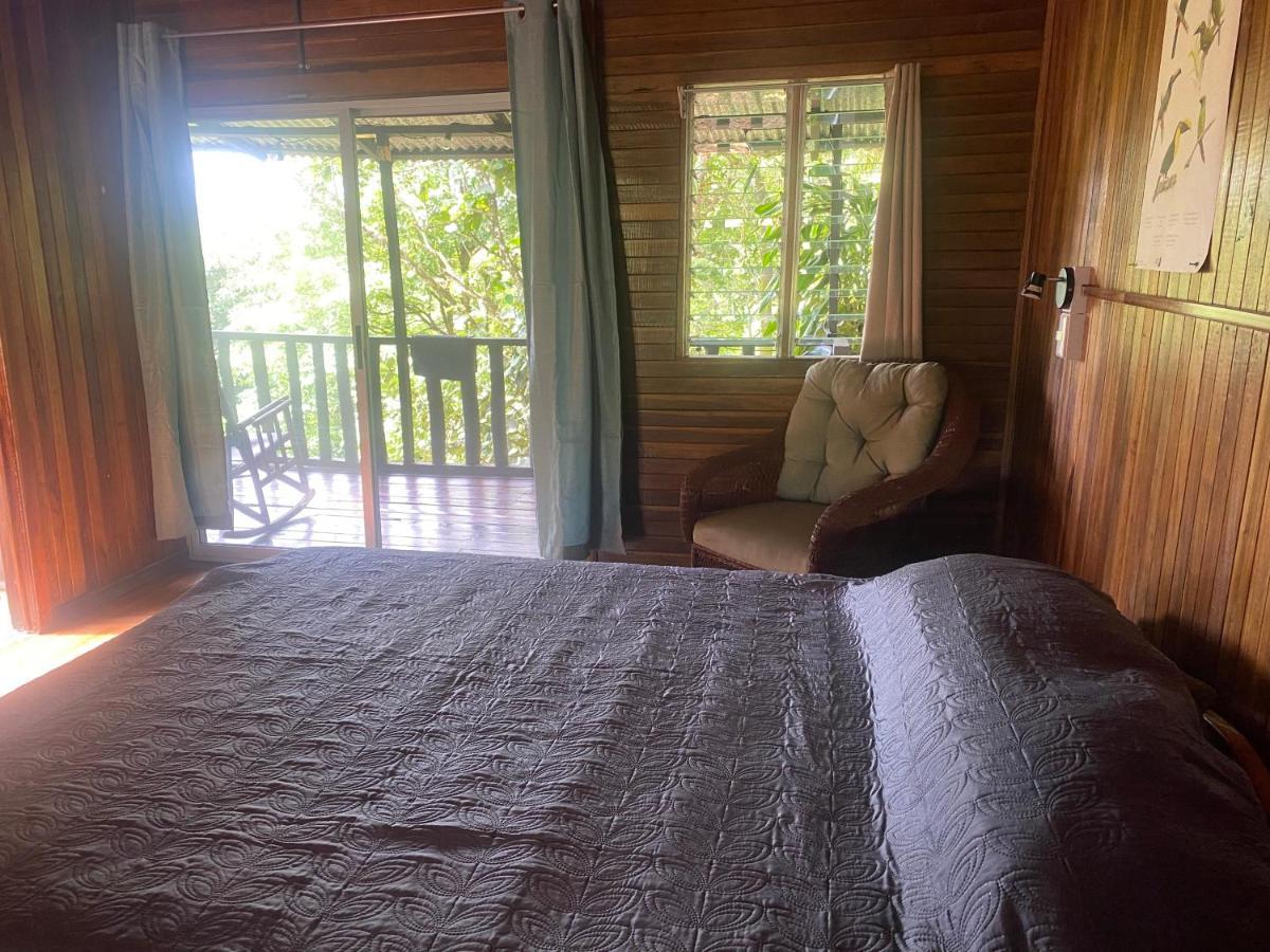 Birds & Breakfast Costa Rica Bed & Breakfast La Tigra  ภายนอก รูปภาพ