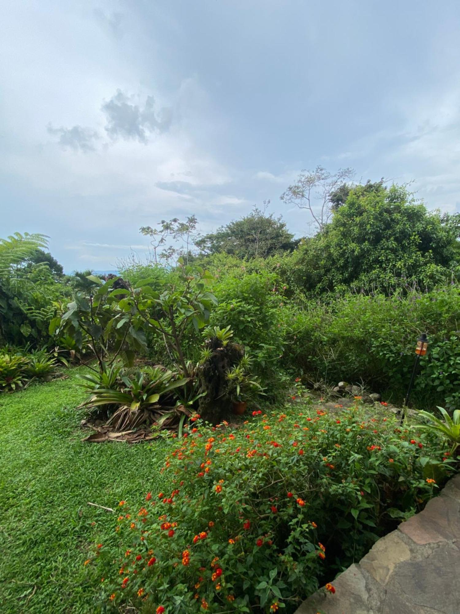 Birds & Breakfast Costa Rica Bed & Breakfast La Tigra  ภายนอก รูปภาพ
