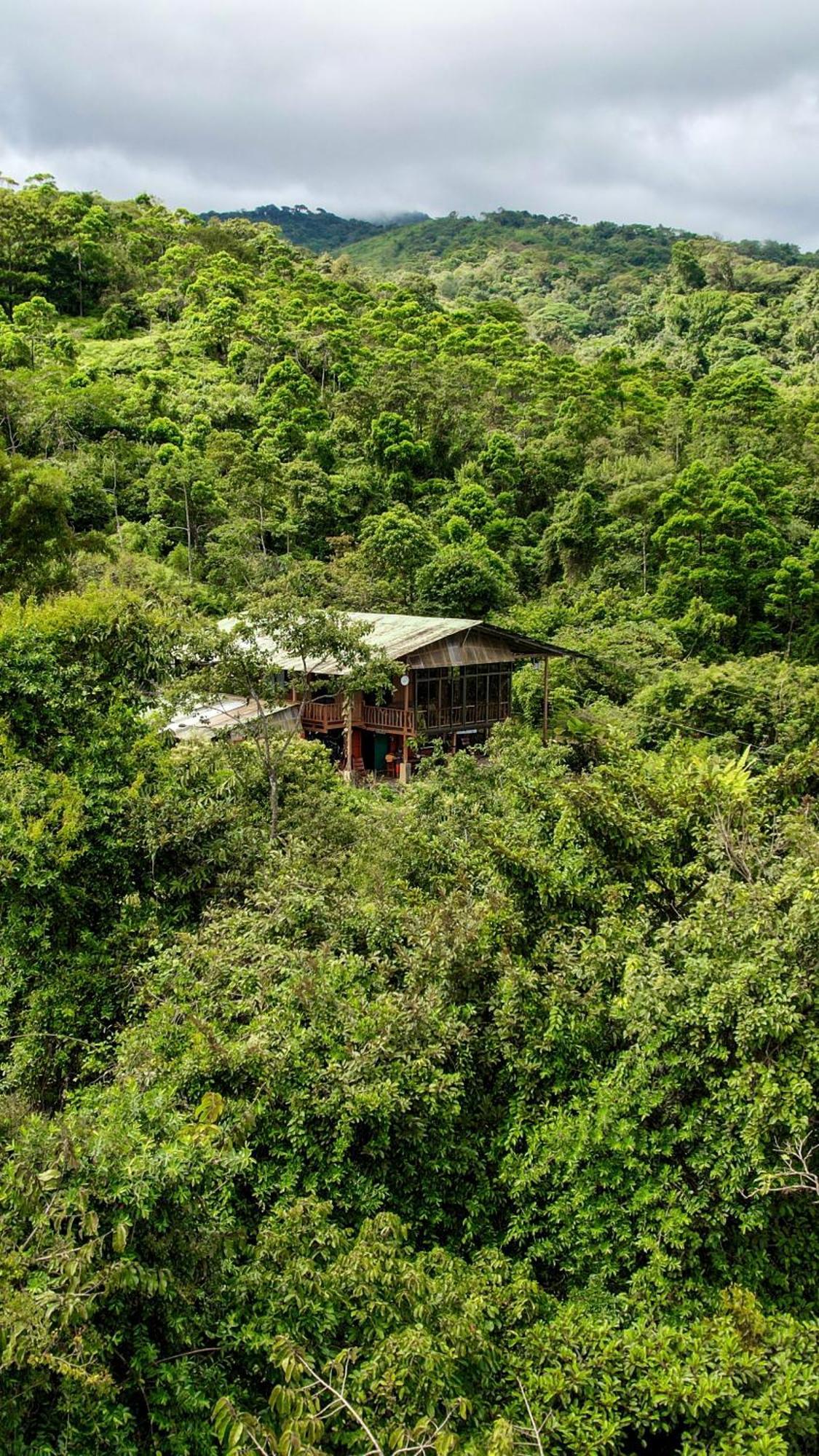 Birds & Breakfast Costa Rica Bed & Breakfast La Tigra  ภายนอก รูปภาพ